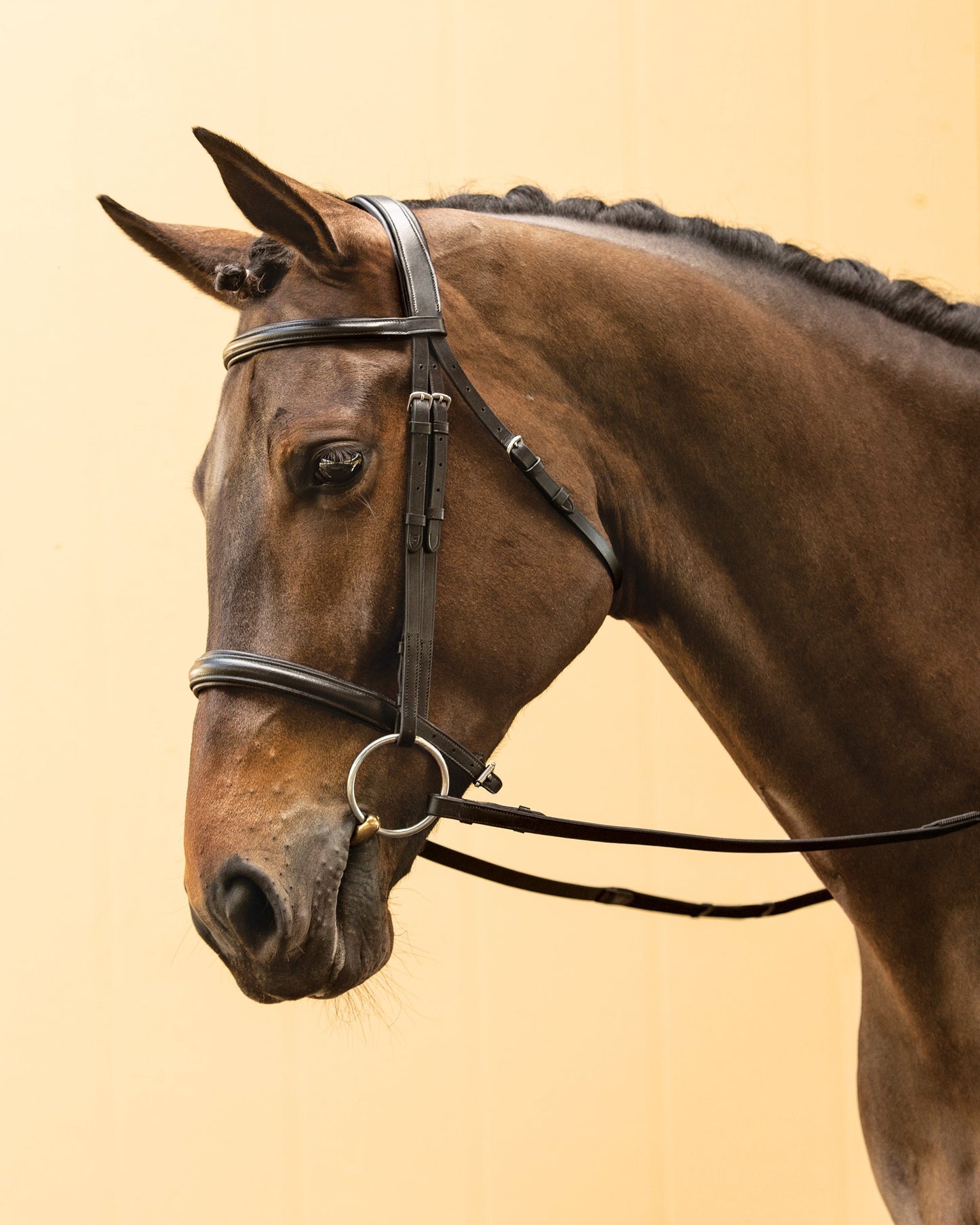 Single Crown Classic Dressage Bridle