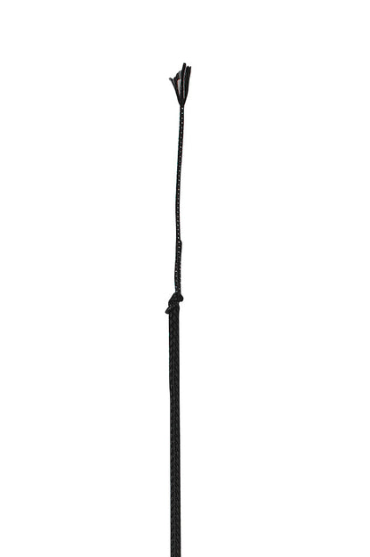 Dressage Whip