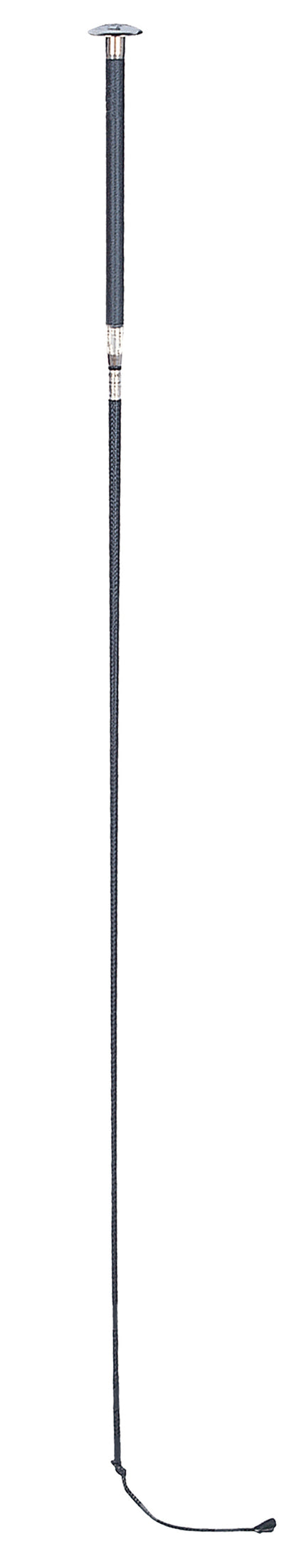 Dressage Whip