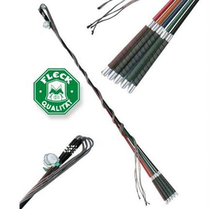 Color Lunge Whip