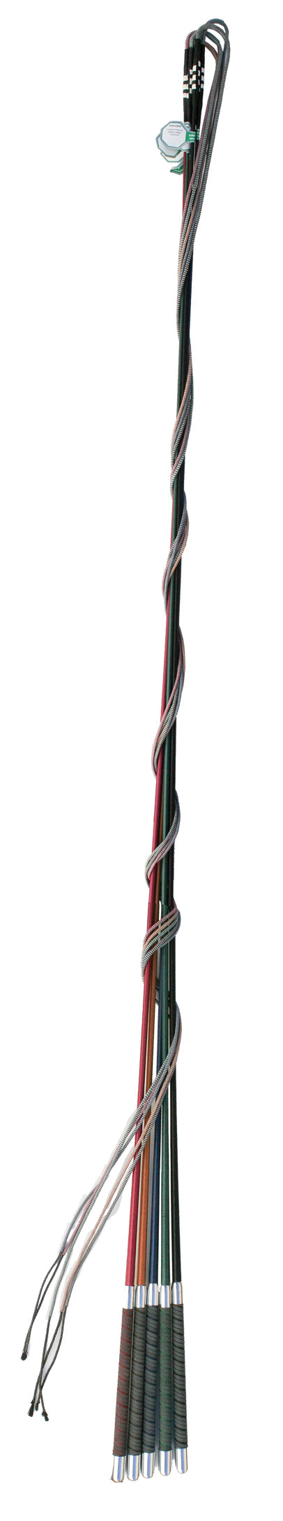 Color Lunge Whip
