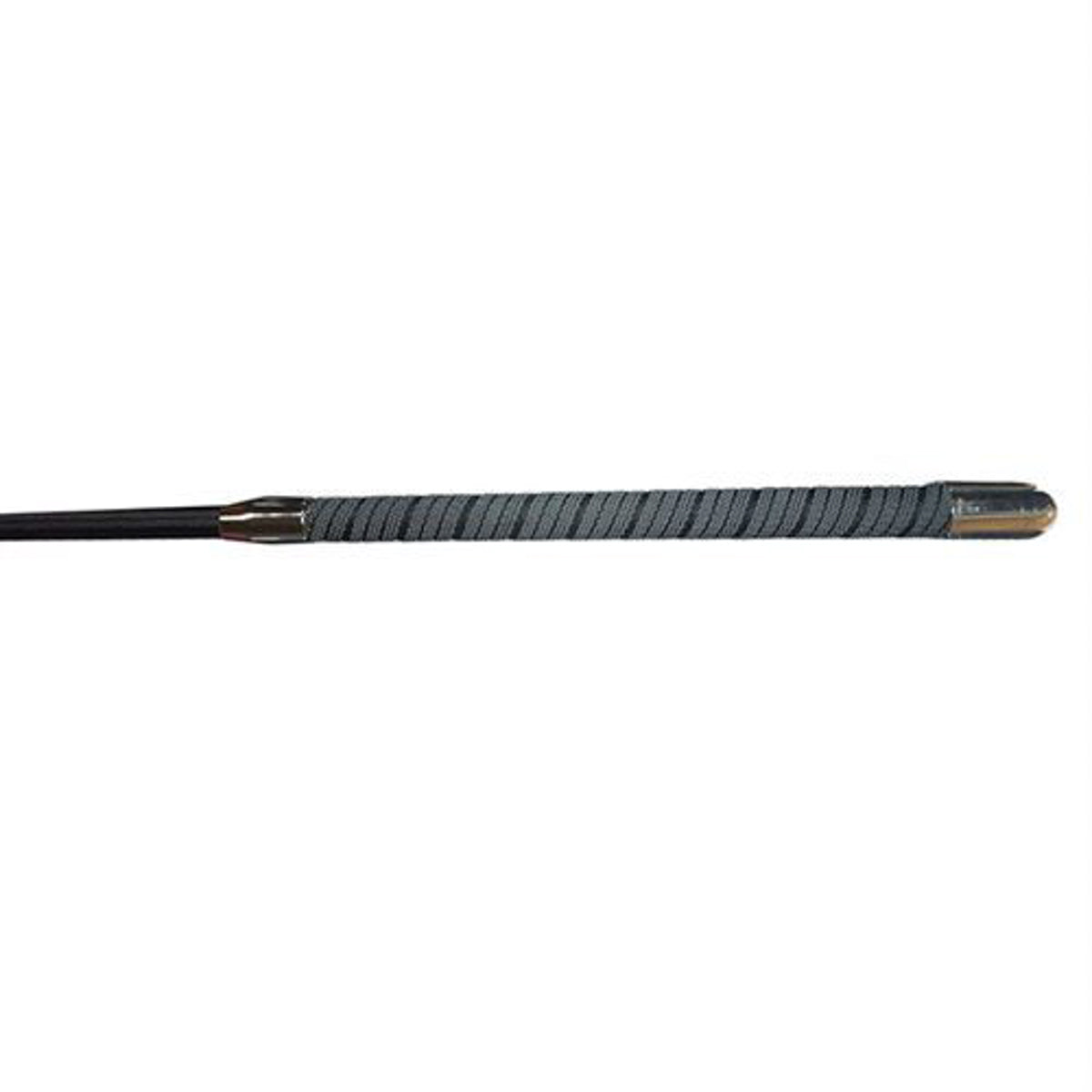 Color Lunge Whip