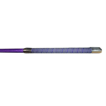 Color Lunge Whip