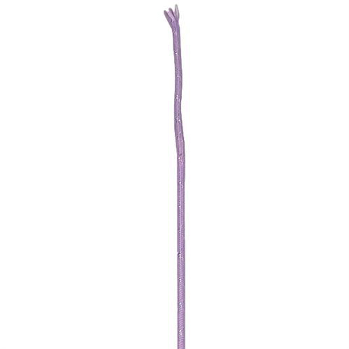 Sparkle Dressage Whip