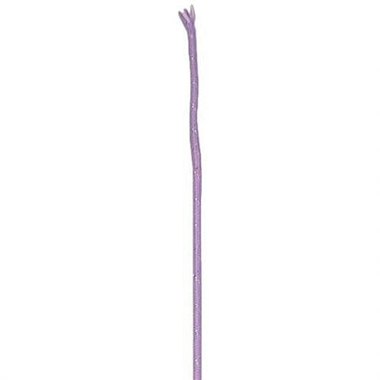Sparkle Dressage Whip