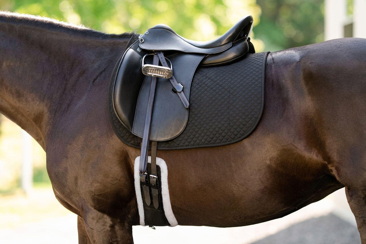 Essential Dressage Girth
