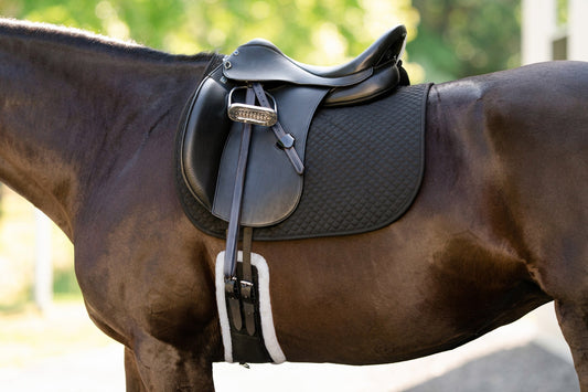 Essential Dressage Girth