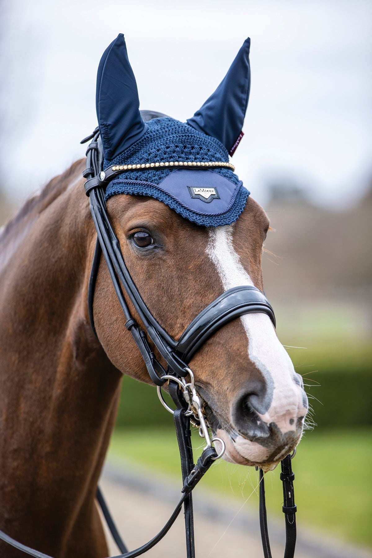 Loire Satin Fly Bonnet