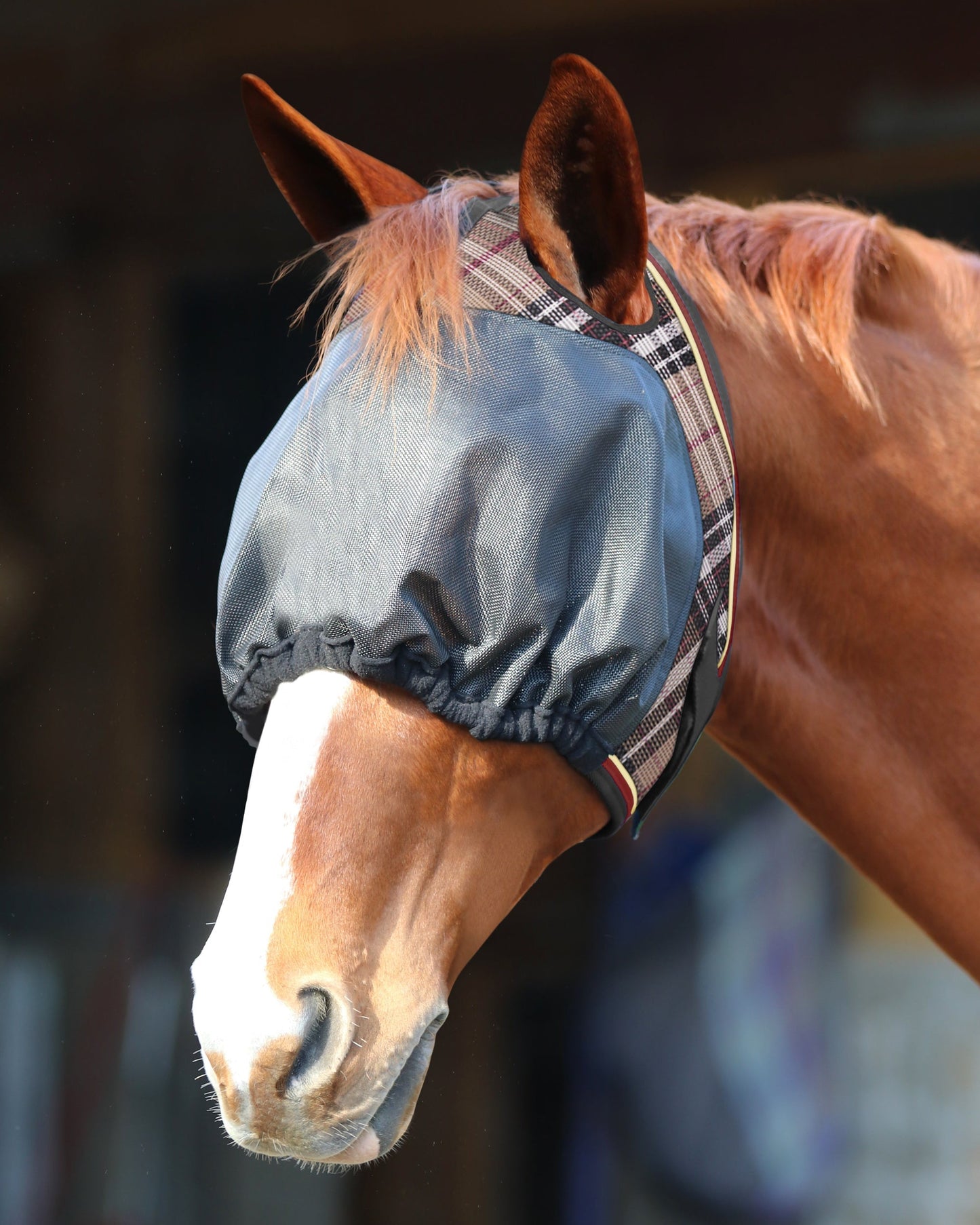 UViator Dartless Fly Mask with Web Trim & Forelock Opening