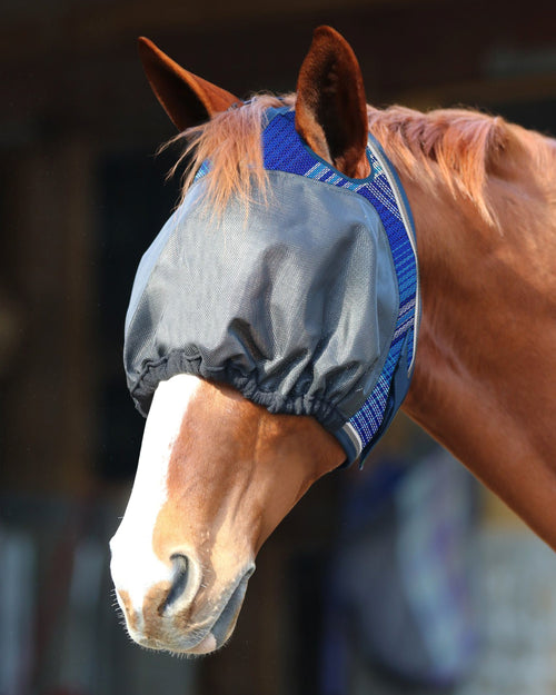 UViator Dartless Fly Mask with Web Trim & Forelock Opening