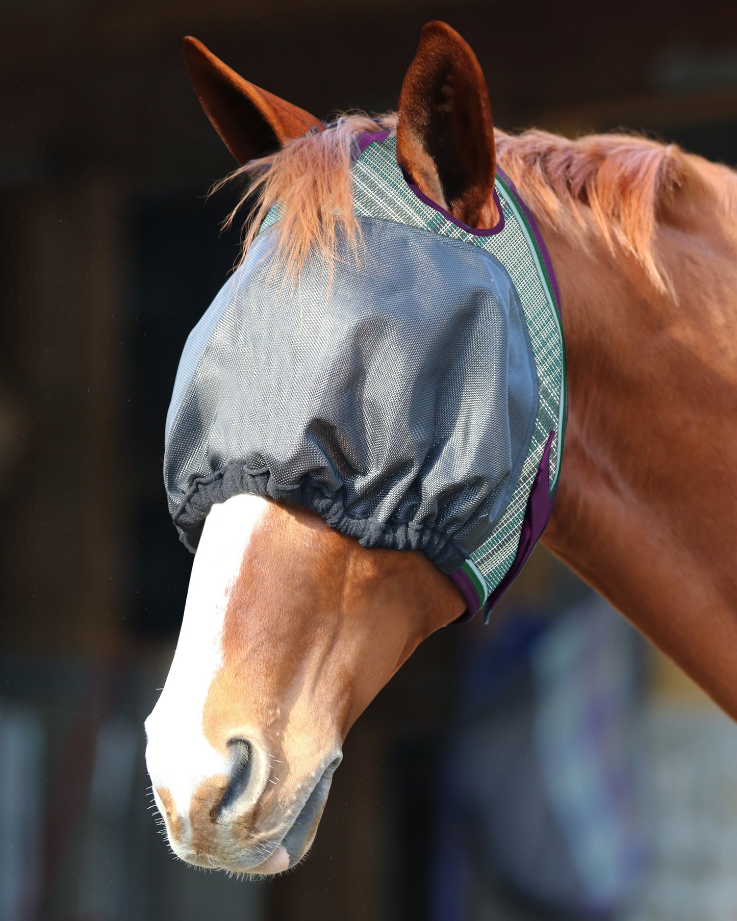 UViator Dartless Fly Mask with Web Trim & Forelock Opening