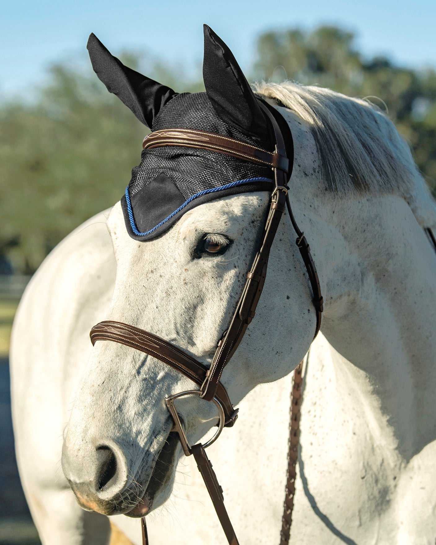 Lightweight Mesh Ear Bonnet