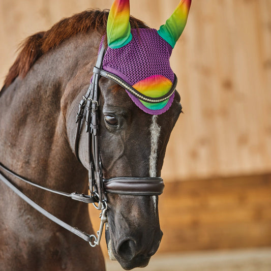 Prime Ombré Ear Bonnet