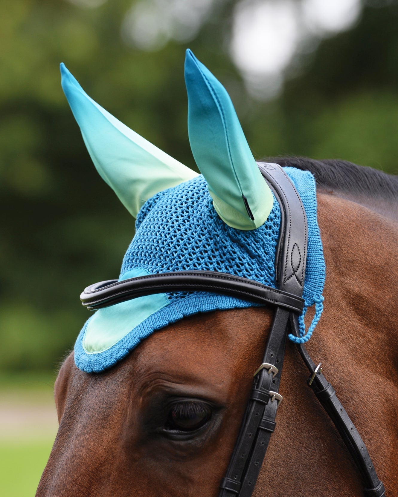 Prime Ombré Ear Bonnet