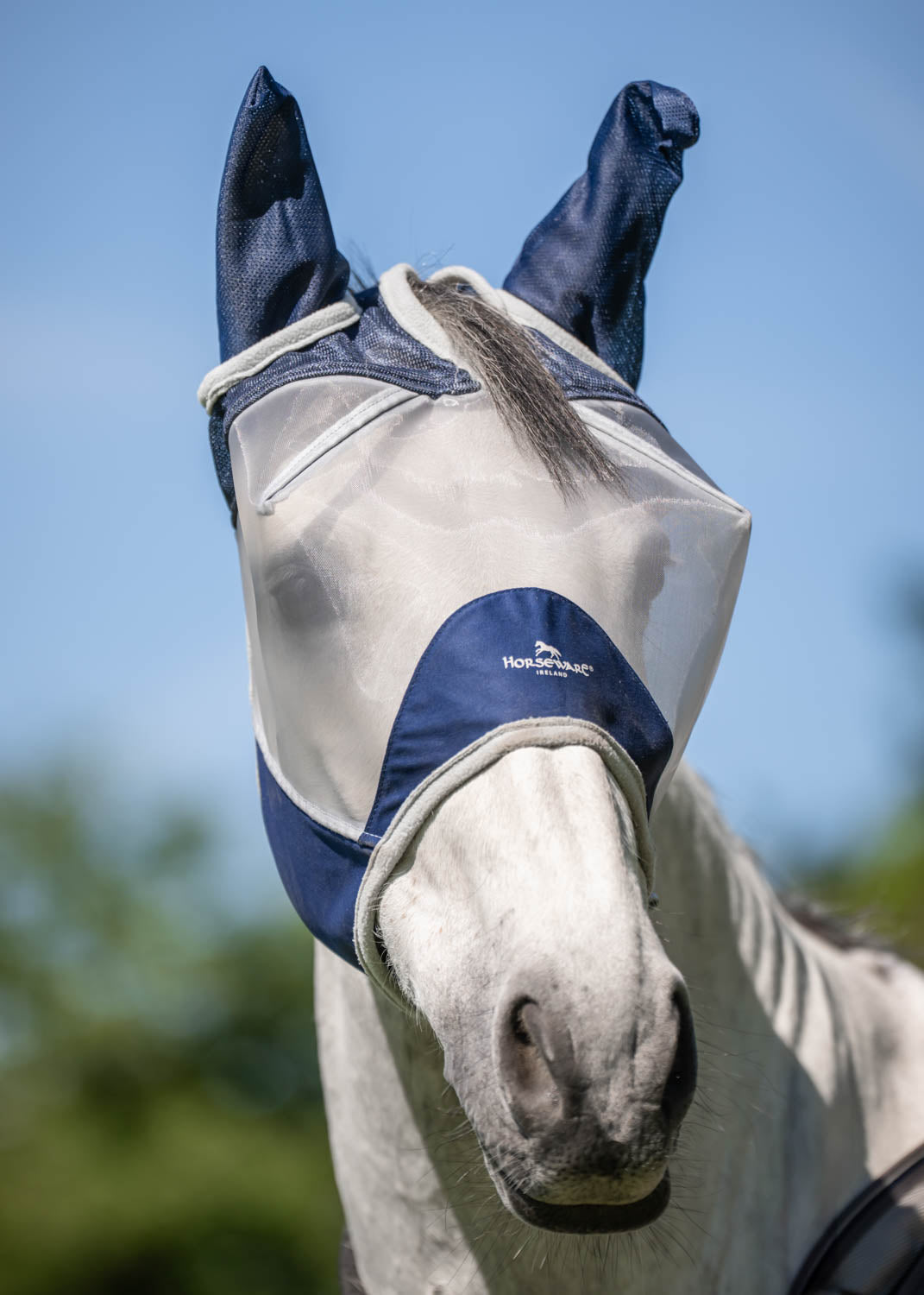 Ireland Shield Fly Mask