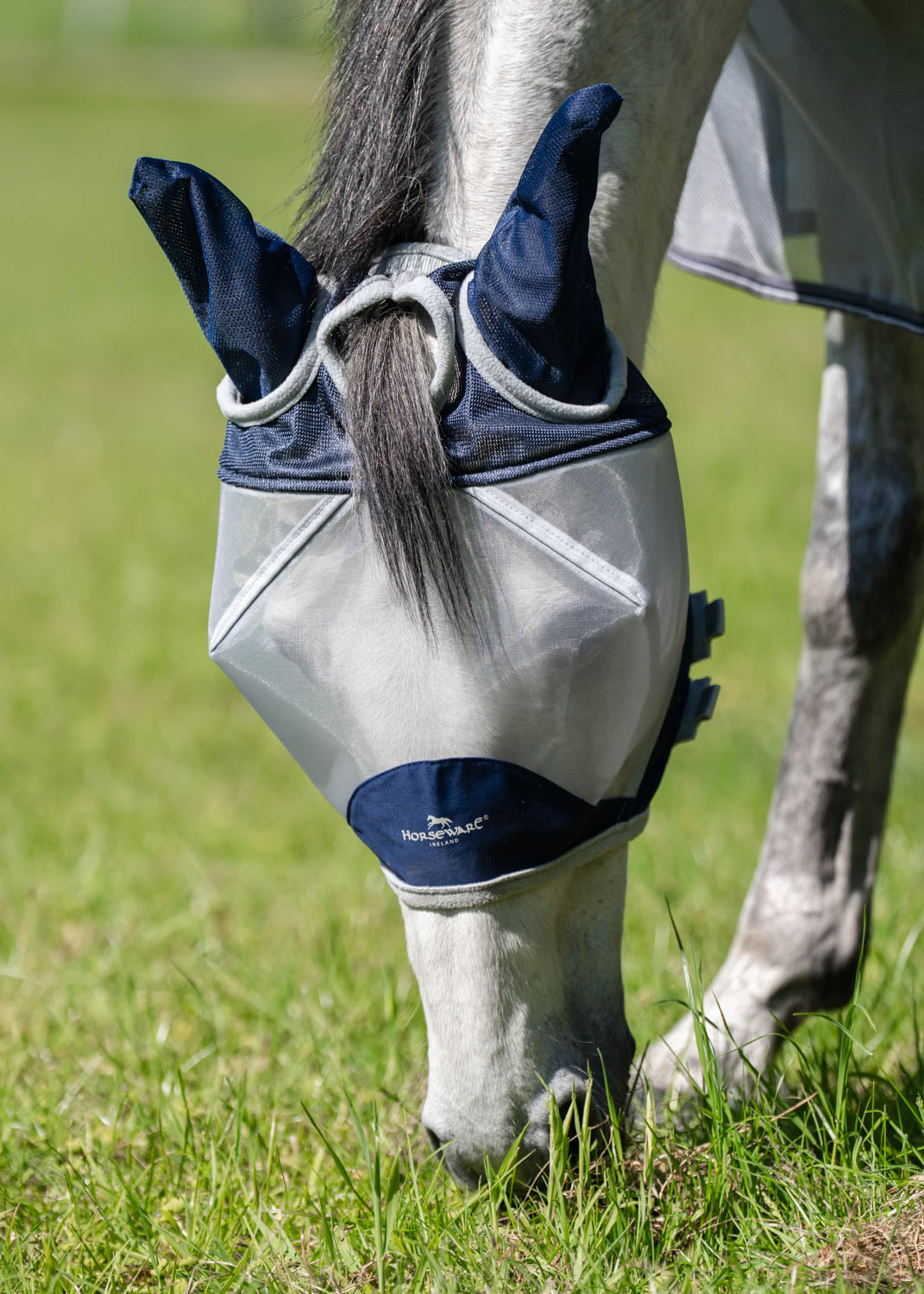 Ireland Shield Fly Mask