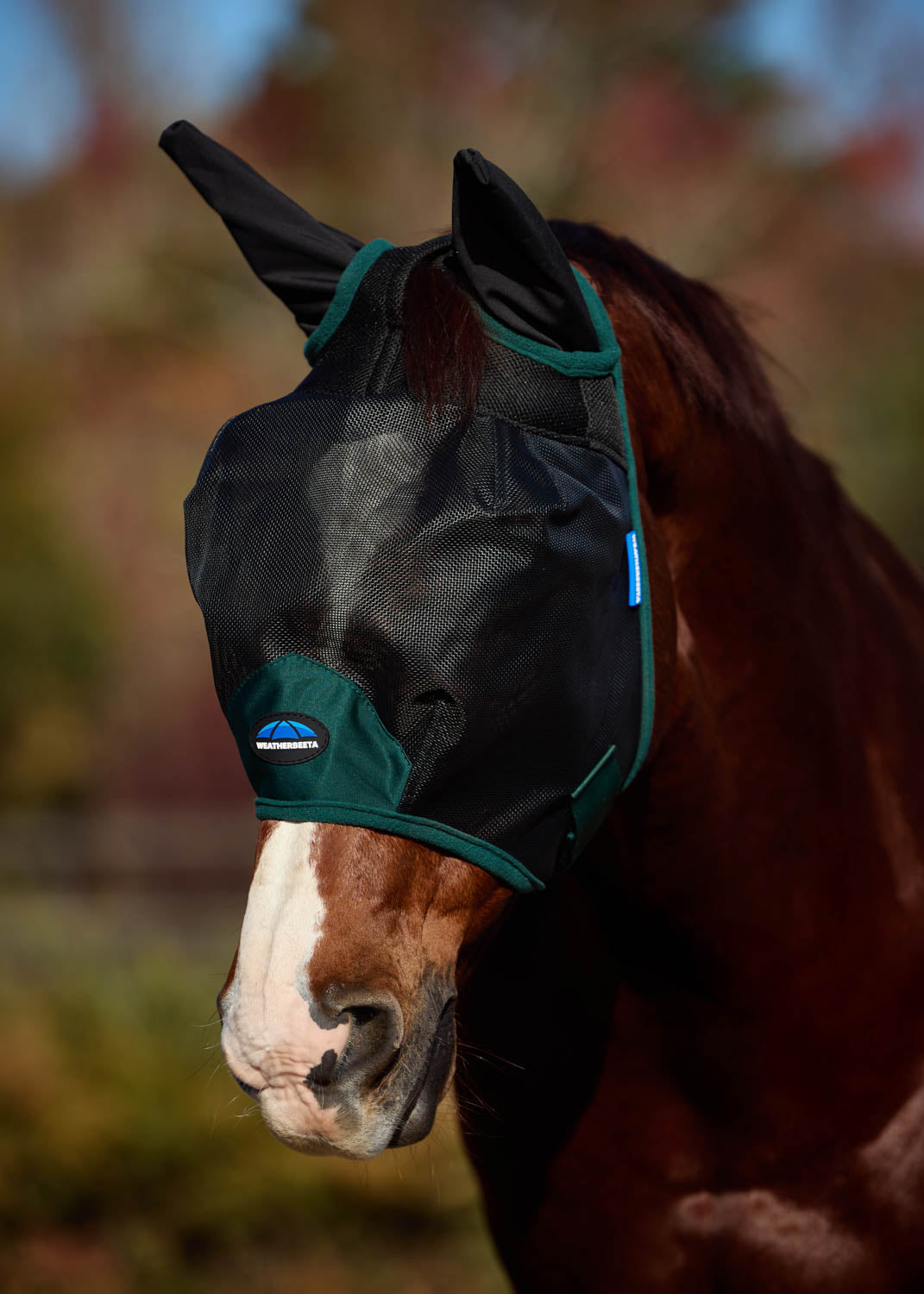 Durable Mesh Fly Mask