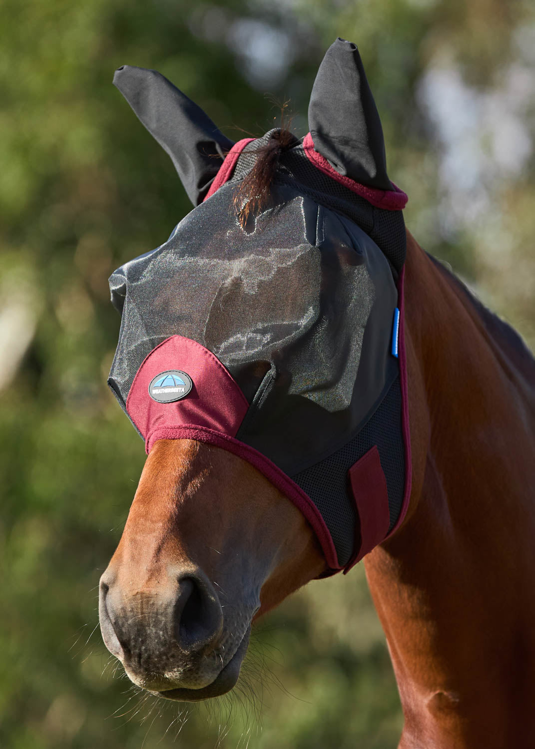 Fine Mesh Fly Mask