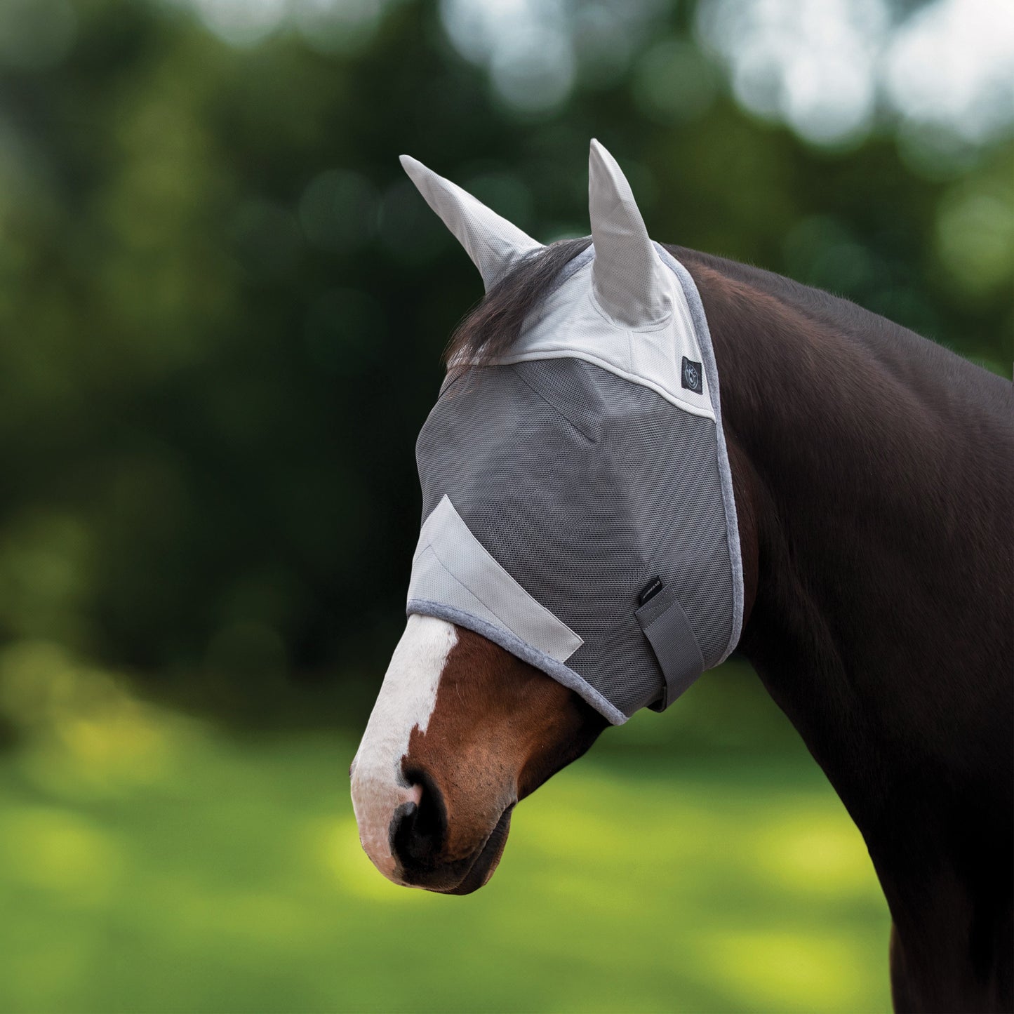 Fly Mask with Ears
