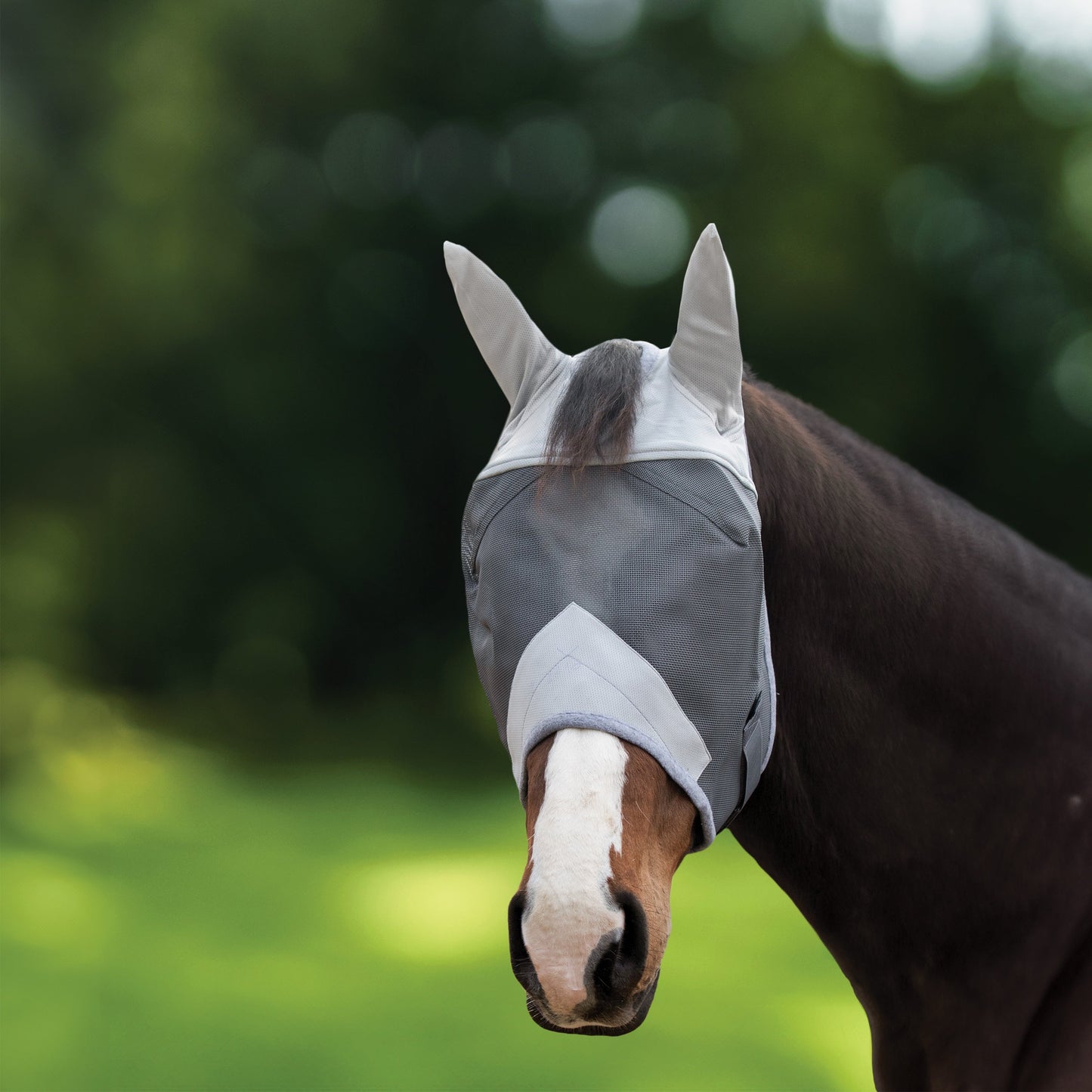 Fly Mask with Ears