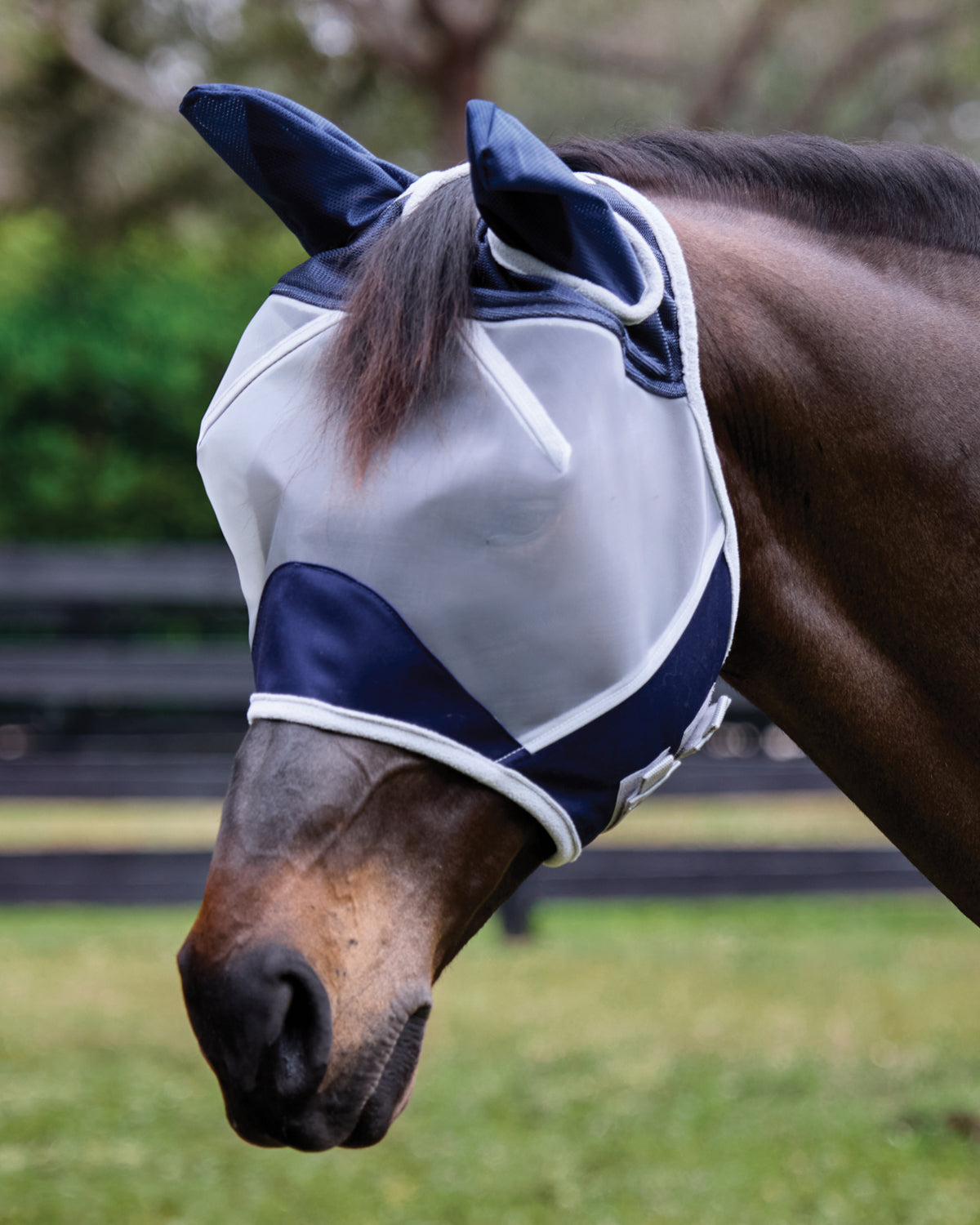 Fine Mesh Fly Mask with Ears