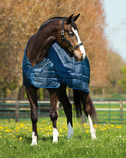 Ireland 300 Gram Blanket Liner