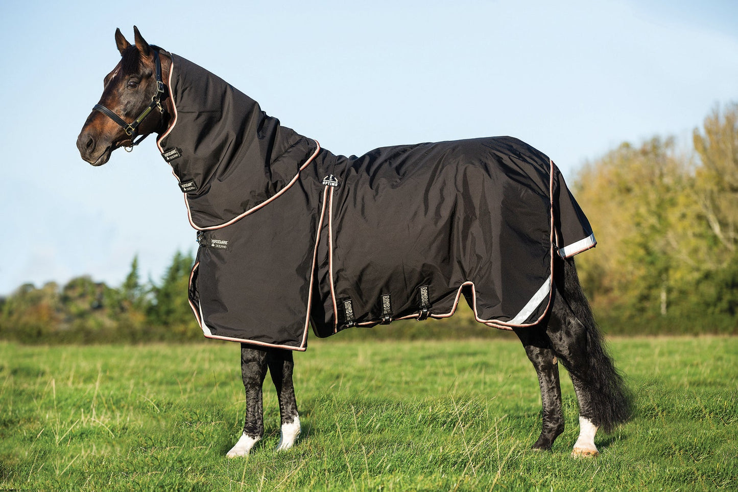 Optimo Turnout Blanket