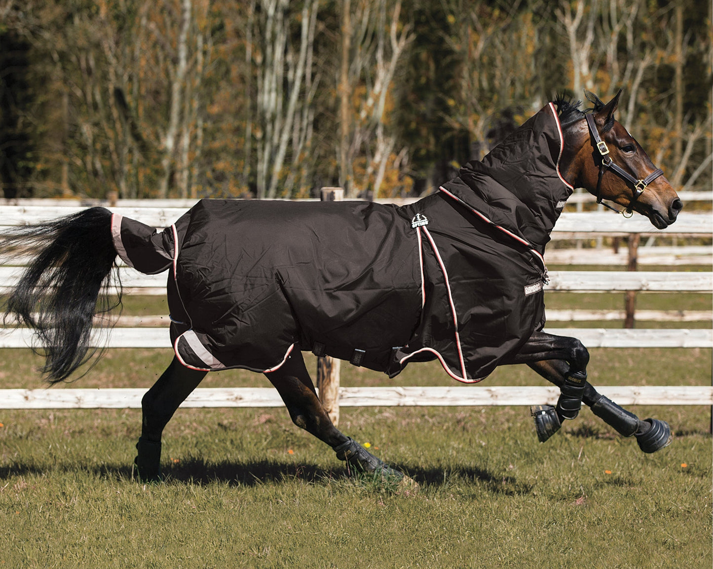 Optimo Turnout Blanket
