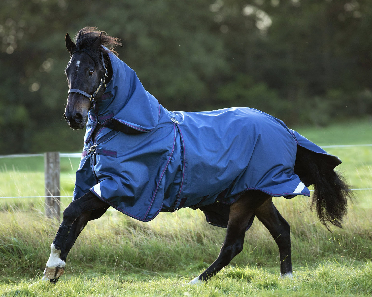 Optimo Turnout Blanket