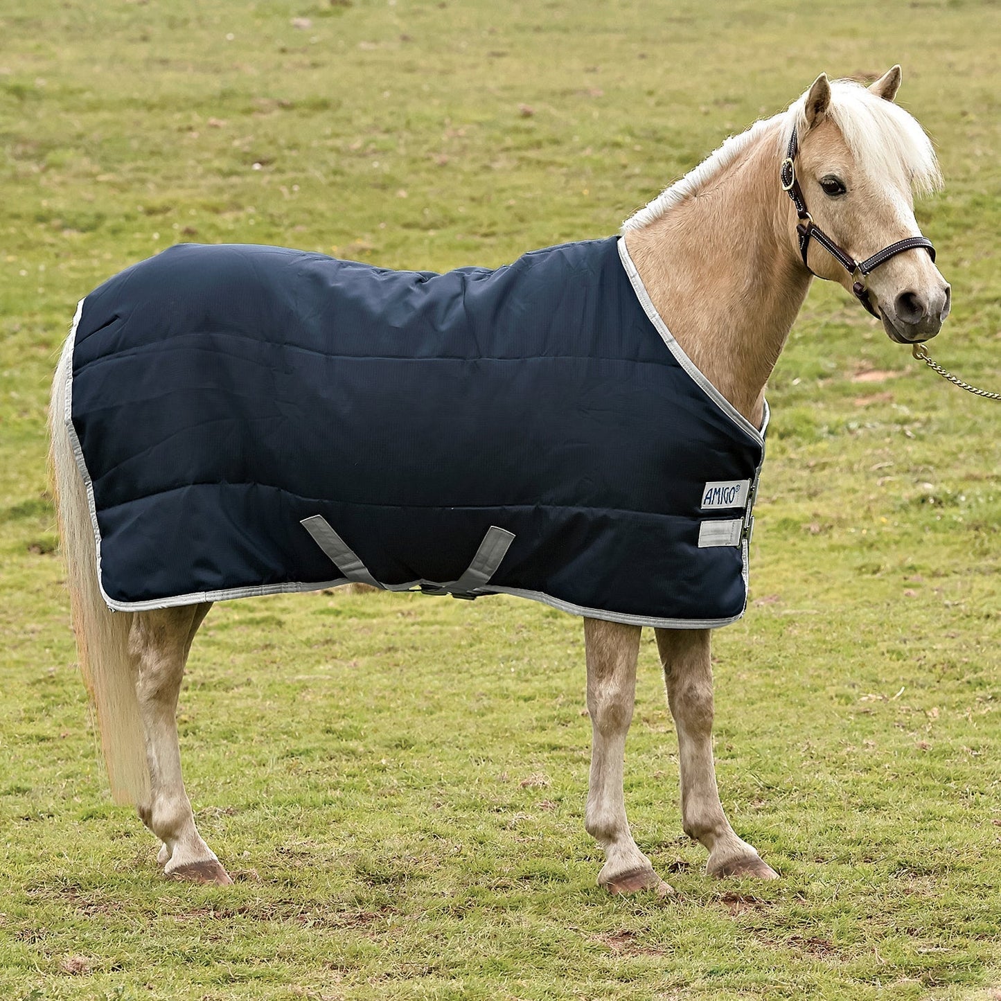 Stable Blanket