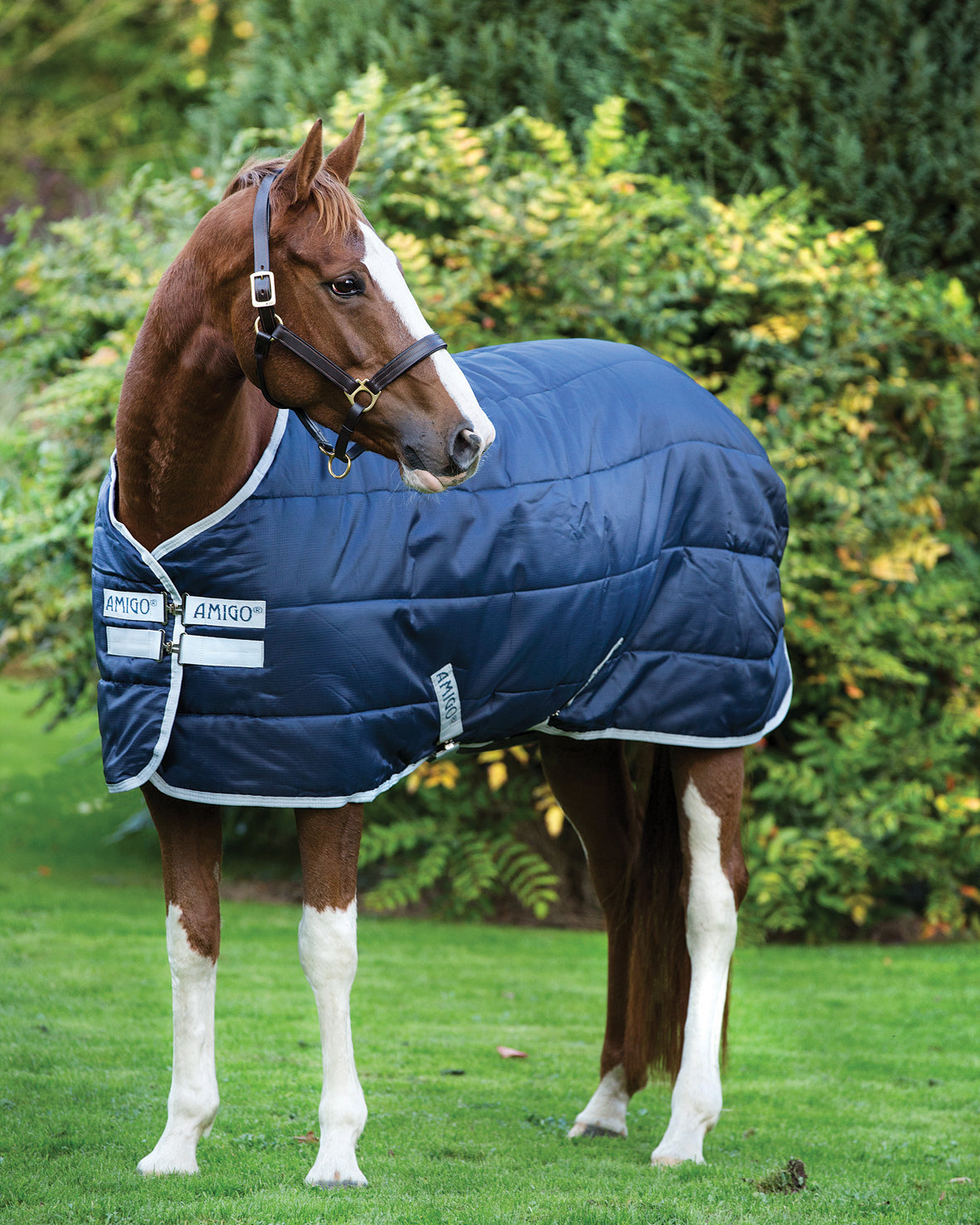 Stable Blanket