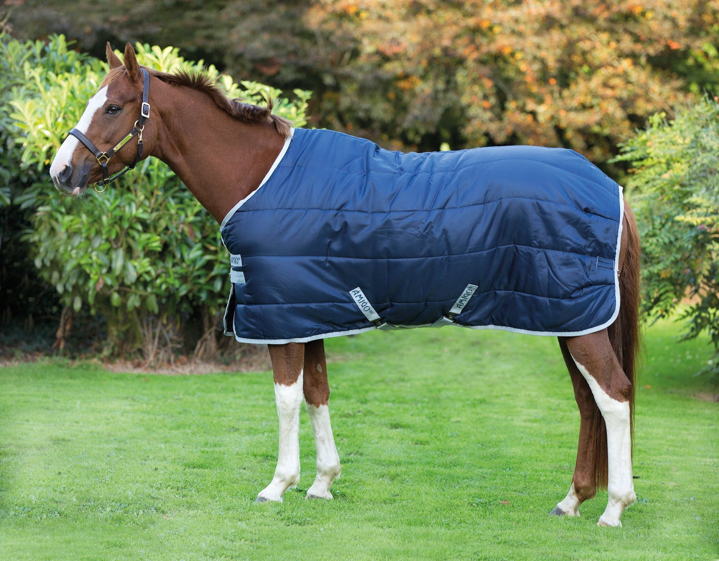 Stable Blanket
