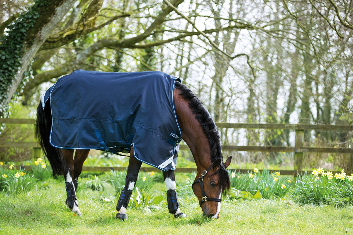 Bravo 12 Heavyweight Turnout Blanket