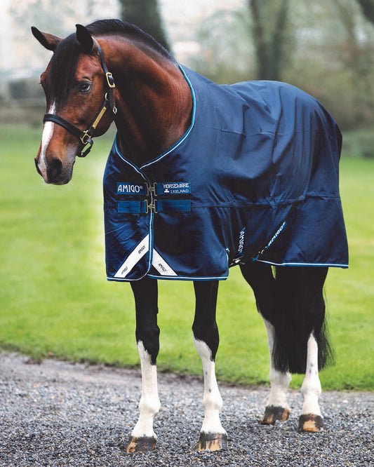 Bravo 12 Heavyweight Turnout Blanket