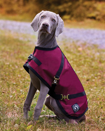 Dog Turnout Sheet
