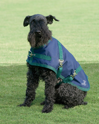Dog Turnout Sheet