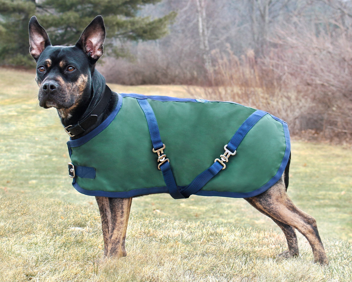 Dog Turnout Sheet