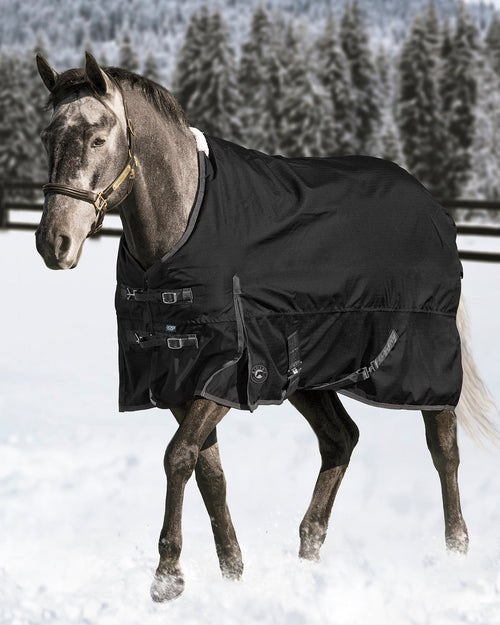 Supreme Medium-Weight Turnout Blanket