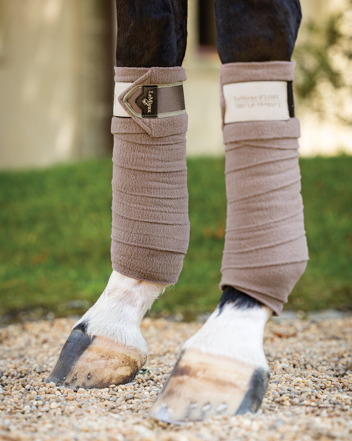 Loire Polo Wraps