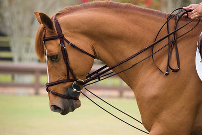 Rope Front Draw Reins