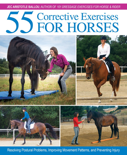 Corrective Exercises for Horses