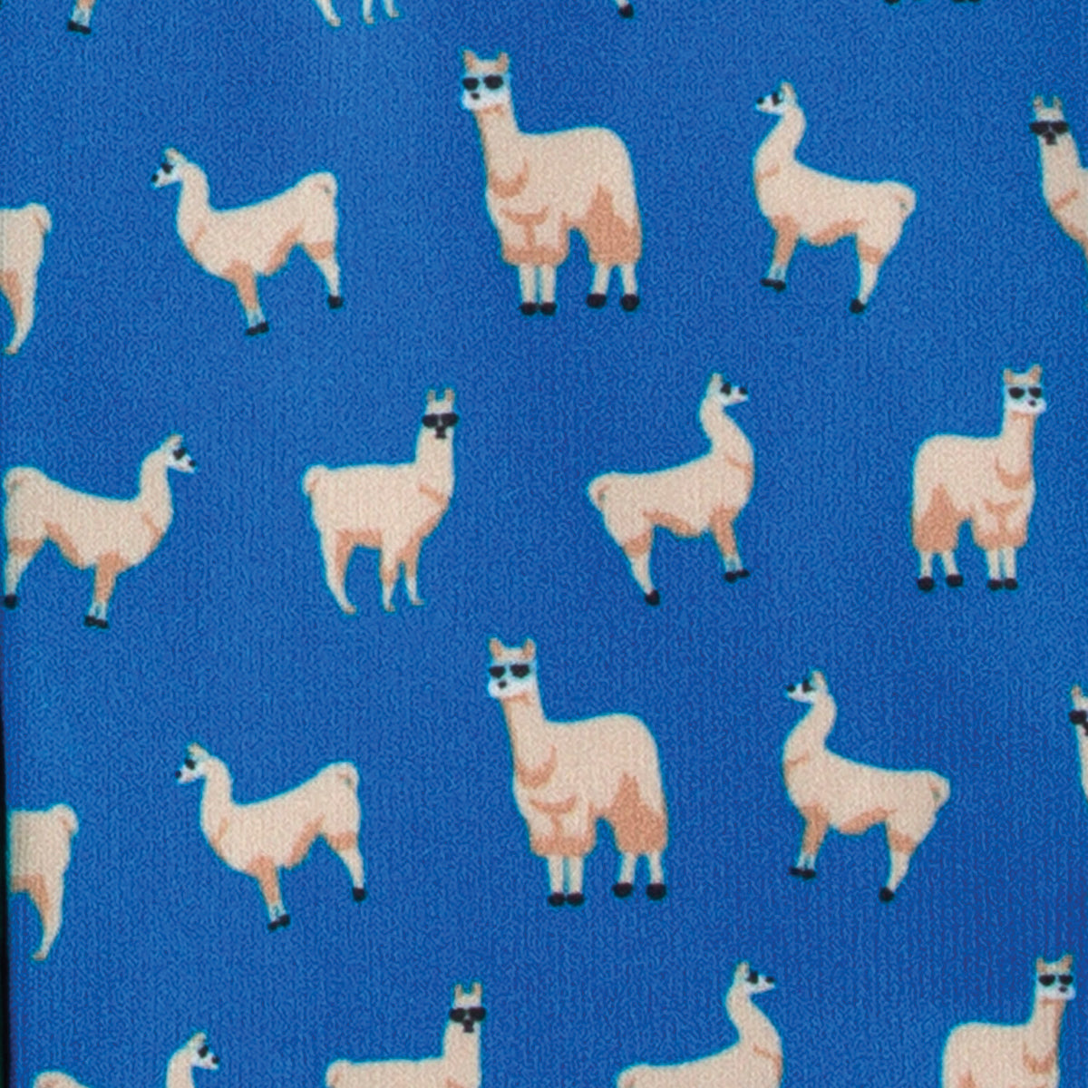 Ladies’ Footzees Boot Socks