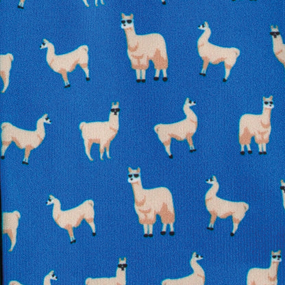 Ladies’ Footzees Boot Socks