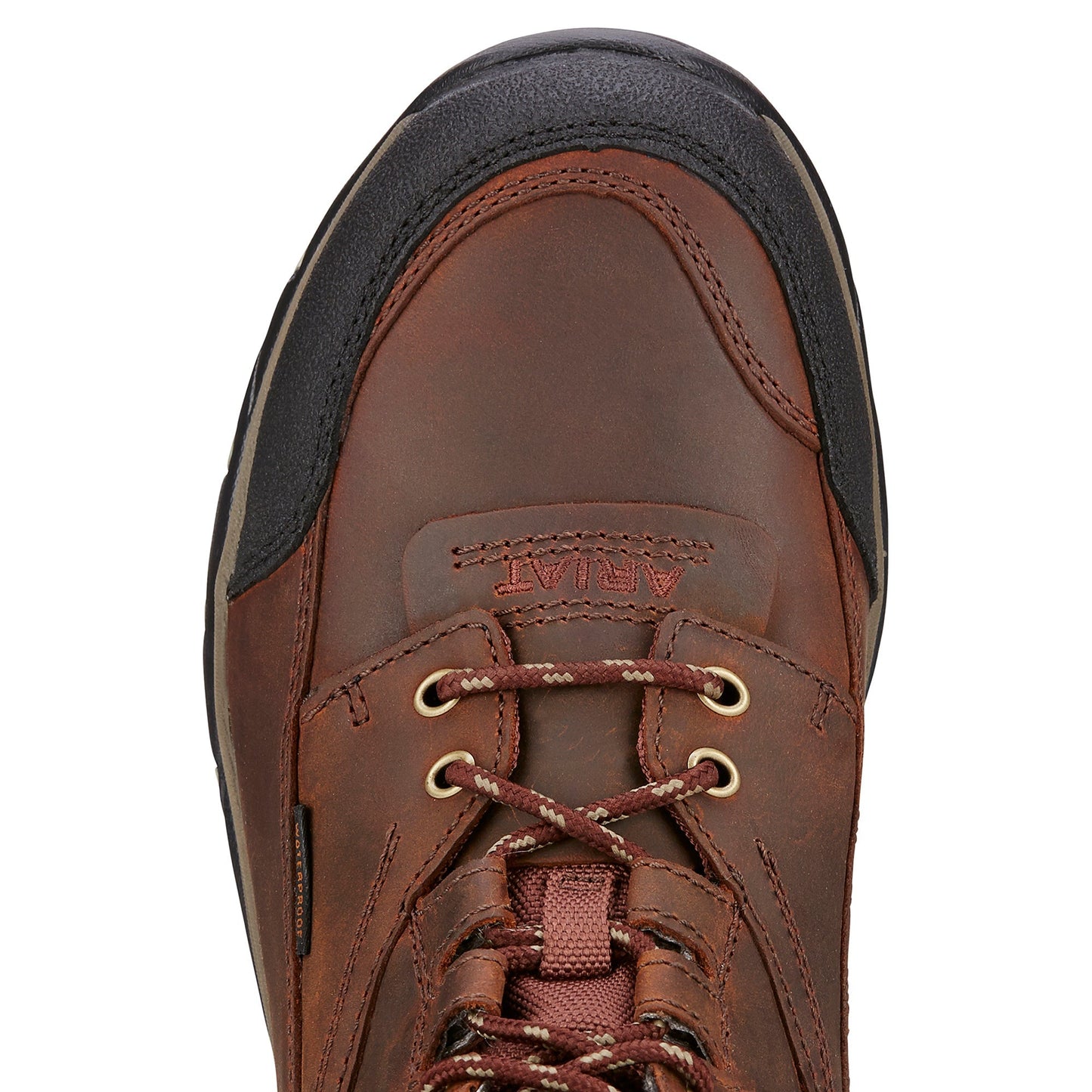 Men's Terrain H2O
