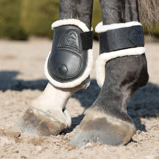 Capella Comfort Fetlock Boots