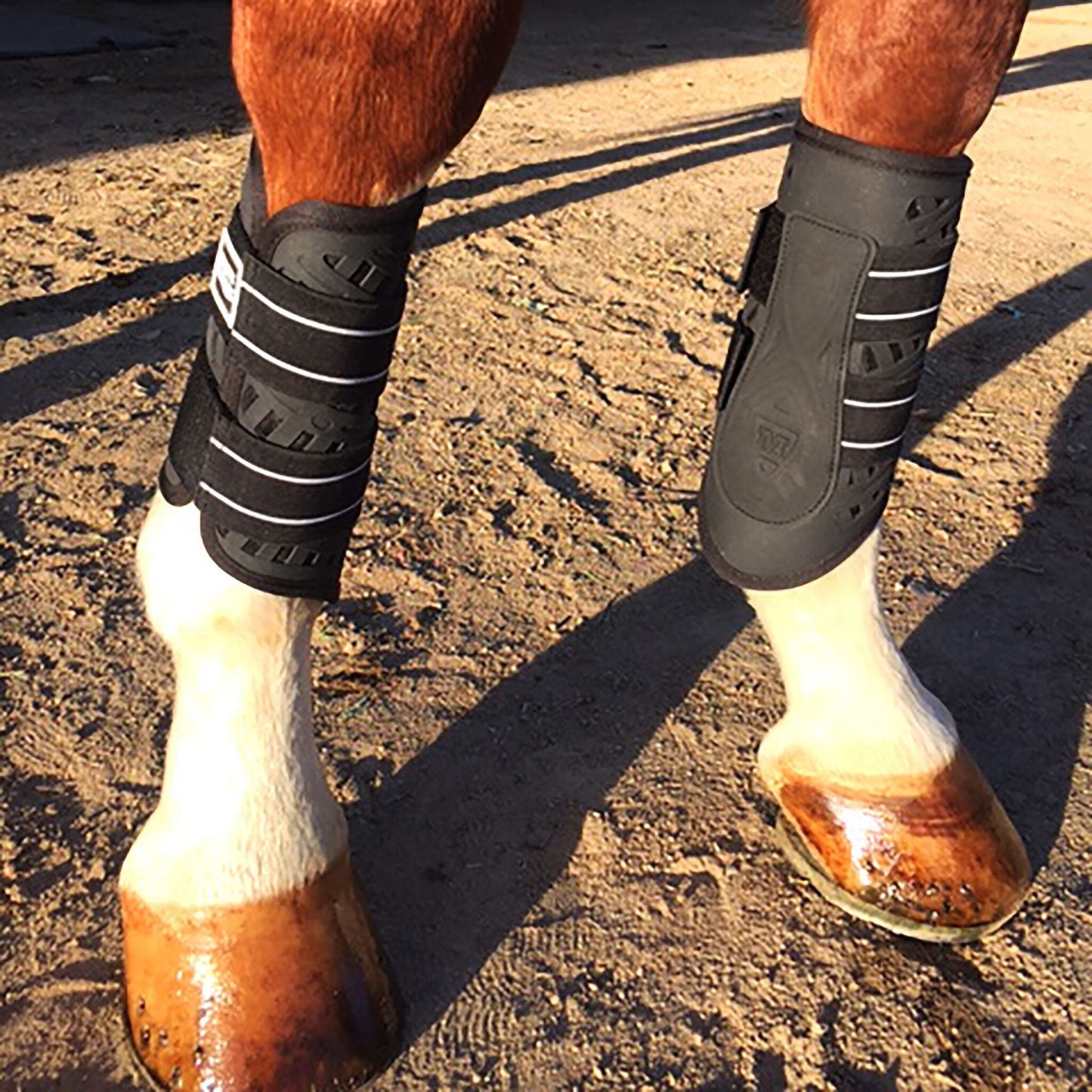 Sport/Dressage Front Boots with Impact Technology