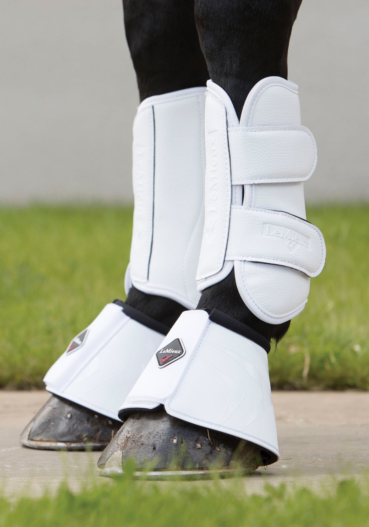 Pro Schooling Boots