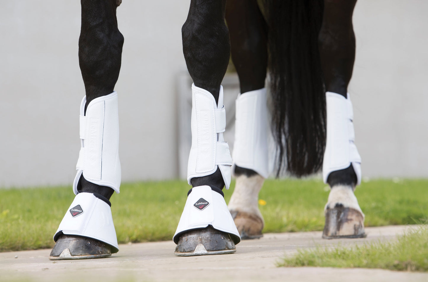 Pro Schooling Boots