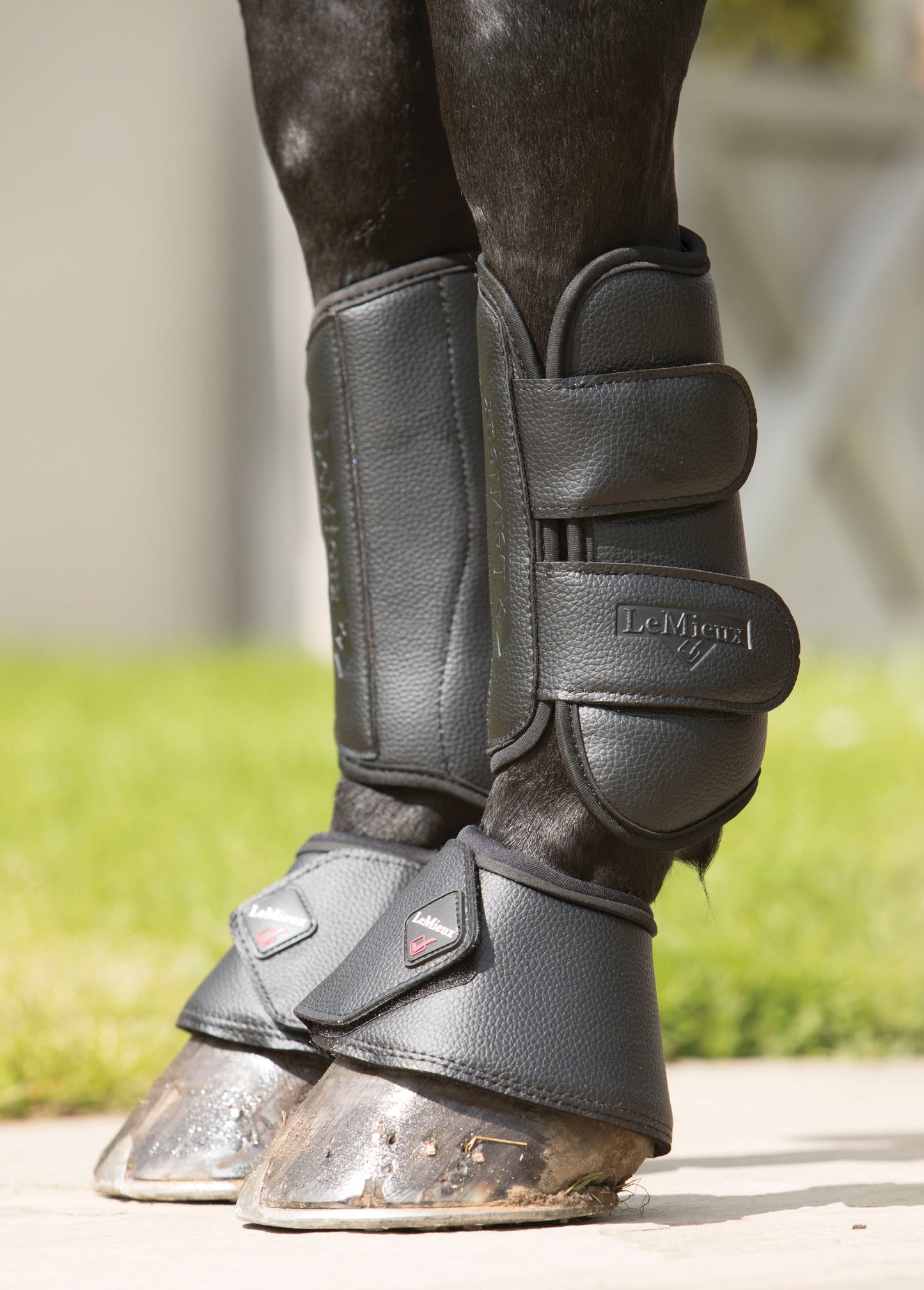 Pro Schooling Boots