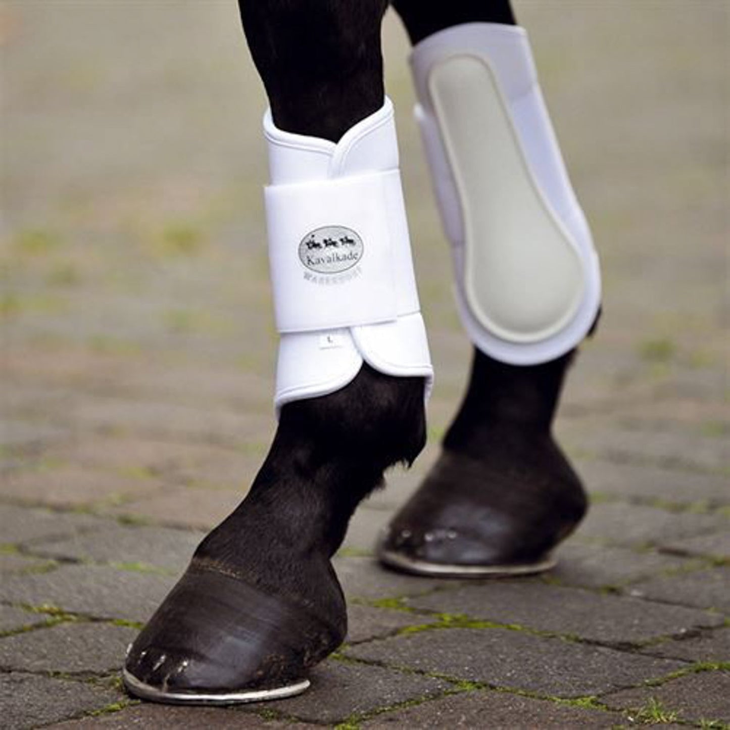 Soft Hind Boots